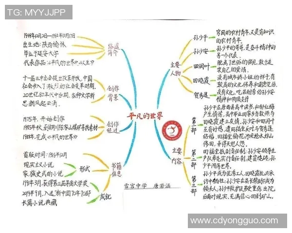 姜宇星的成长之路：从平凡少年到璀璨星辰的奋斗历程与心路历程