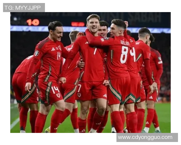 威尔士与芬兰精彩对决视频回顾及赛后分析