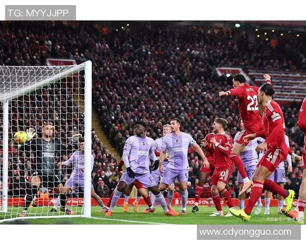 拜仁慕尼黑对阵拿玻里精彩比分揭晓，谁能在这场较量中胜出