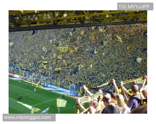 柔佛与彭亨的激烈对决谁能笑到最后探讨两州足球的未来发展