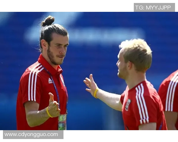 威尔士与斯洛伐克精彩对决回放分析与赛后点评