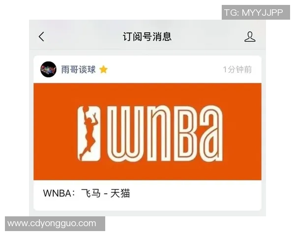 天猫与飞马的精彩对决比分分析及赛后点评