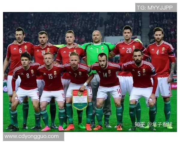 西班牙与挪威足球对决前瞻分析及赛前预测资讯分享