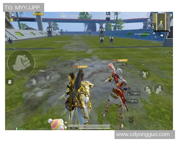 从零起步到高手之路：和平精英全面提升个人能力指南