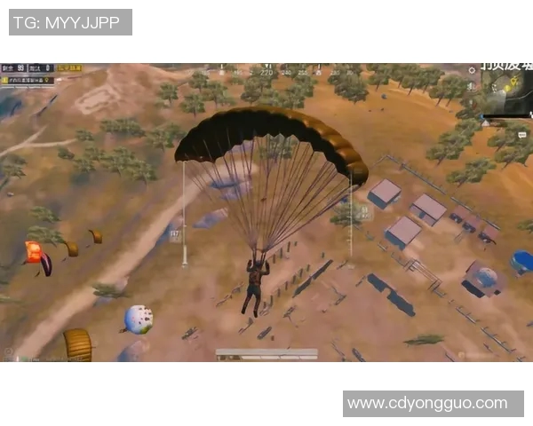 成都极限运动队进攻战术深度分析与实战应用探讨