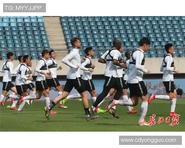 武汉排球队的拼搏之路:一段关于梦想与坚持的排球纪实