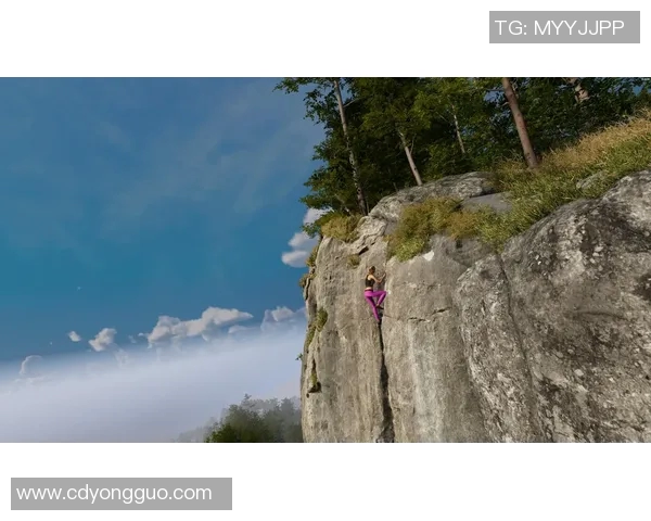 上海攀岩队实力分析与表现评估探讨及未来发展方向研究