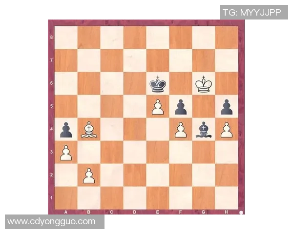 深入探讨杭州篮球队战术表现的数据分析与战术优化策略