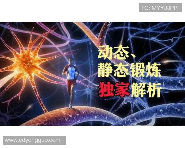独家解析：液化天然气配合方式的优劣对比与市场前景分析