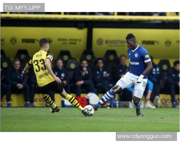 深圳足球队团队协作的成功之道与未来发展探讨