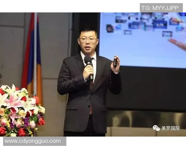 重磅专题：探讨WE在整体压制革新中的战略布局与未来展望